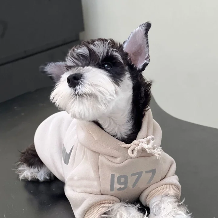 1977 ペットの猫と犬の服秋冬